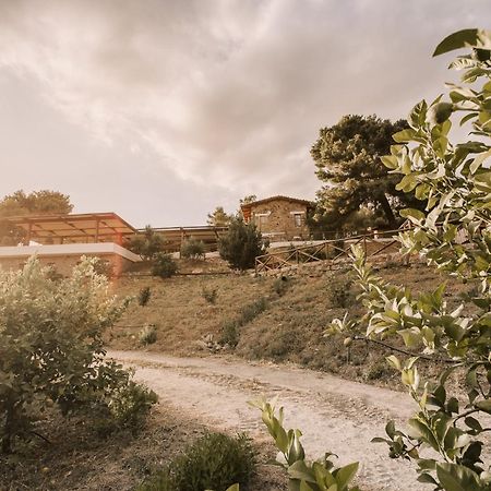 Casale 700 Bed & Breakfast Amendolara Luaran gambar